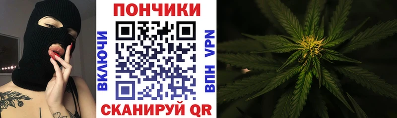 Купить  Коммунар  Марихуана семена 